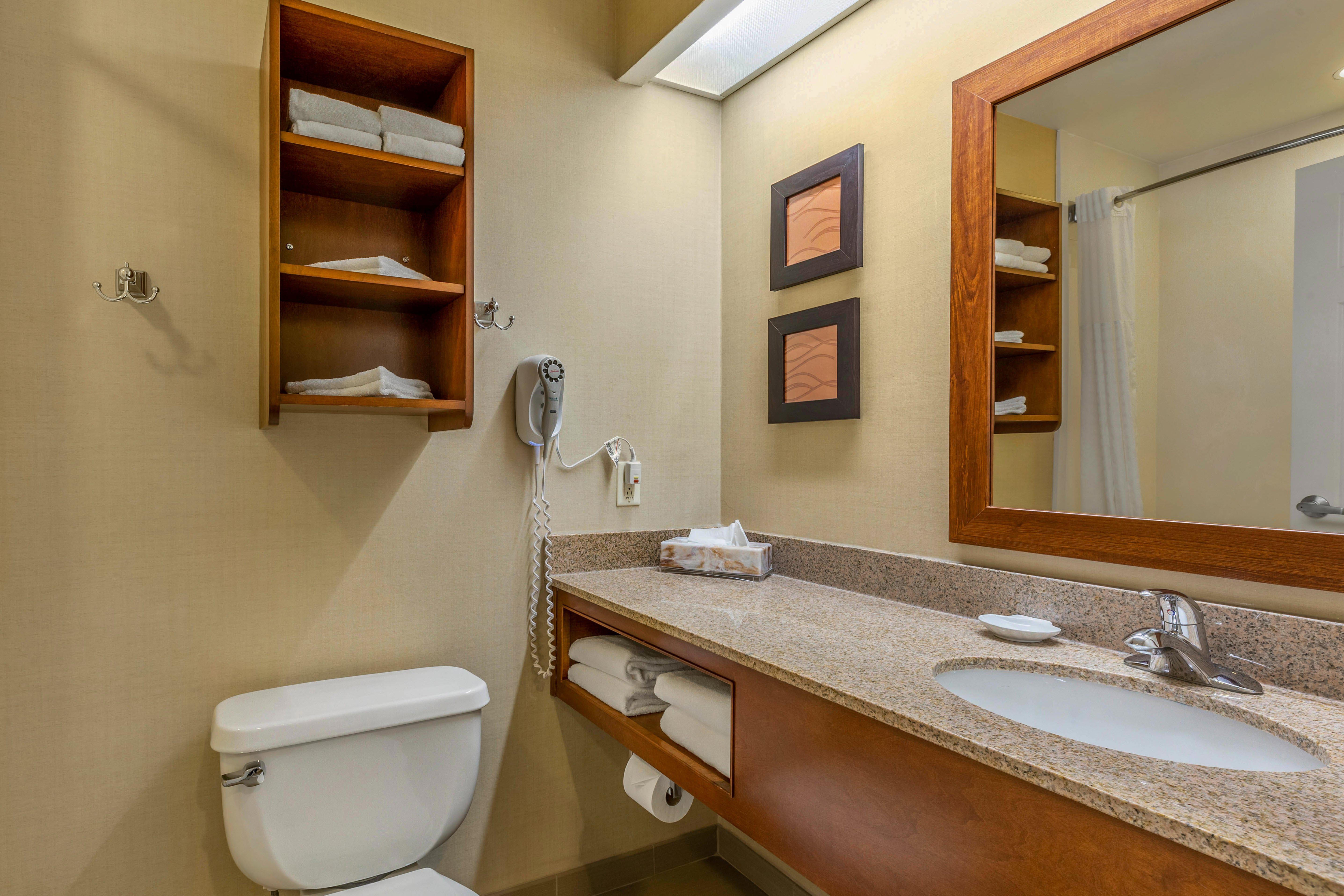 Bathroom countertop and toilet